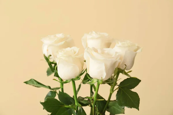 Hermosas Rosas Blancas Sobre Fondo Color — Foto de Stock