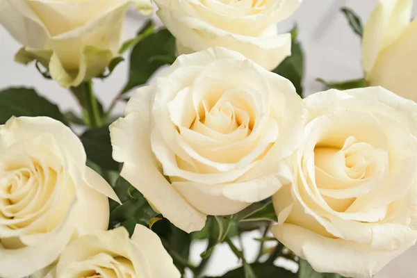 Beautiful White Roses Closeup View — Stock Photo, Image