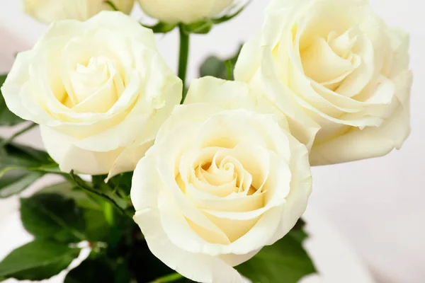 Bouquet Beautiful White Roses Closeup — Stock Photo, Image