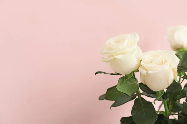 Hermosas Rosas Blancas Sobre Fondo Claro — Foto de Stock