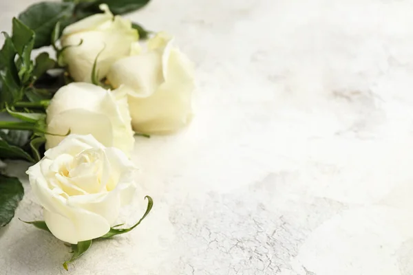 Hermosas Rosas Blancas Sobre Fondo Claro — Foto de Stock