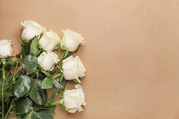 Beautiful White Roses Color Background — Stock Photo, Image