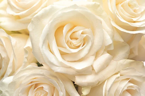 Ramo Hermosas Rosas Blancas Primer Plano — Foto de Stock