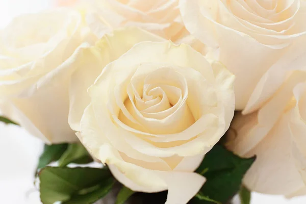 Bouquet Beautiful White Roses Closeup — Stock Photo, Image