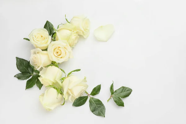 Hermosas Rosas Sobre Fondo Blanco — Foto de Stock