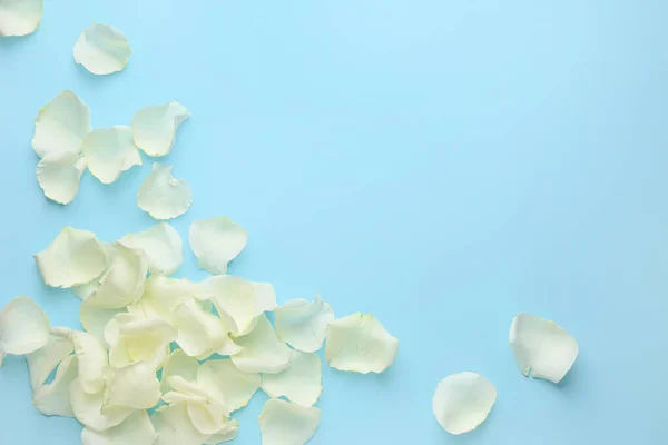 Beautiful White Rose Petals Color Background — Stock Photo, Image