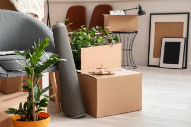 Taşındığı gün yeni dairede içinde eşyalar ve koltuklar olan karton kutular.