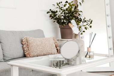 Modern oturma odasındaki masada ayna ve sazlık ayırıcı.