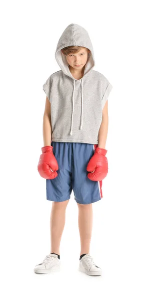 Niedliche Kleine Boxer Auf Weißem Hintergrund — Stockfoto