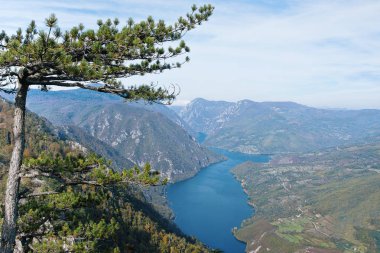 Dağ güzellik manzara