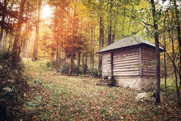 Casa de madeira na floresta, início da temporada de outono — Fotografia de Stock