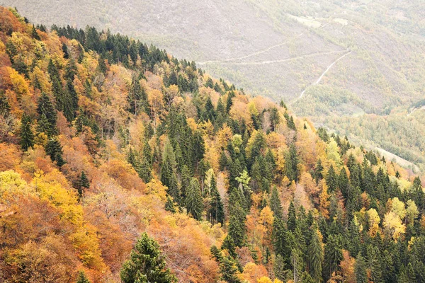 Mountain beauty landscape — Stock Photo, Image