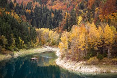 sonbahar manzarası. doğanın kompozisyon.
