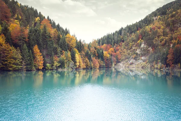 Paisagem de outono. Composição da natureza . — Fotografia de Stock