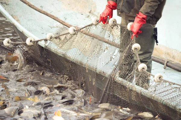 Pescadores no trabalho — Fotografia de Stock