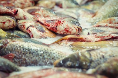 Balıkçılık sanayi portre resim