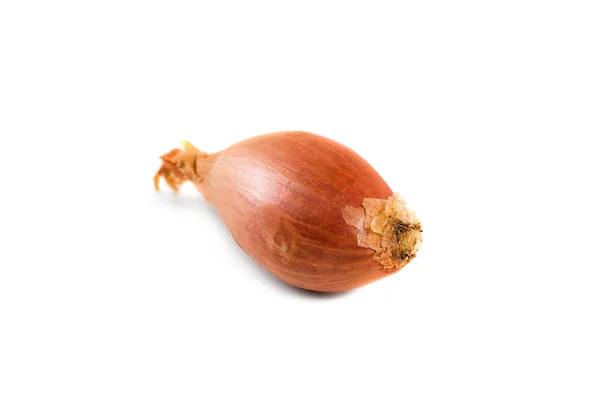 Bulb onion isolated on a white background — Stock Photo, Image