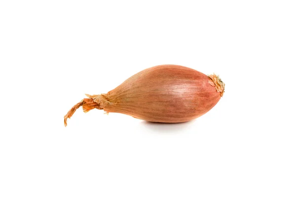Bulb onion isolated on a white background — Stock Photo, Image