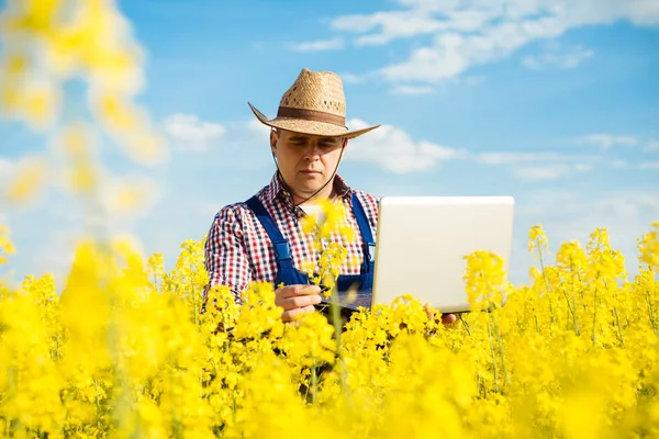 Bonde med laptop i fältet blommande raps — Stockfoto