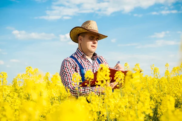 Un agricultor inspecciona la colza — Foto de Stock