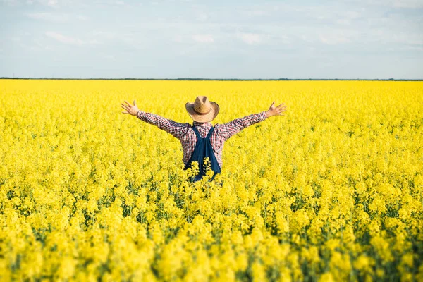 Agronomist standing in field of blooming cultivated rapeseed — Stock Photo, Image
