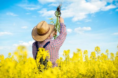 Çiftçi kanola alan kalitesini kontrol edin