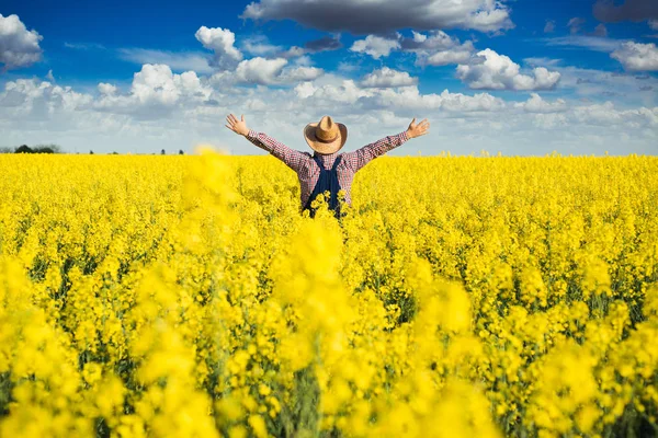 Agronomist standing in field of blooming cultivated rapeseed — Stock Photo, Image