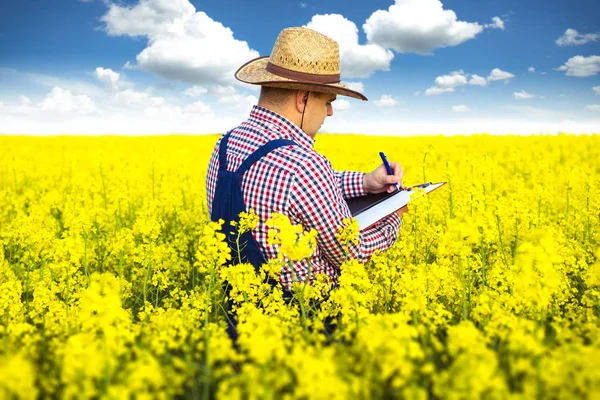 Un agricoltore ispeziona colza — Foto Stock