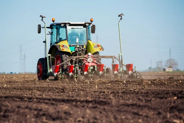 Cultivos de siembra de agricultores en el campo —  Fotos de Stock