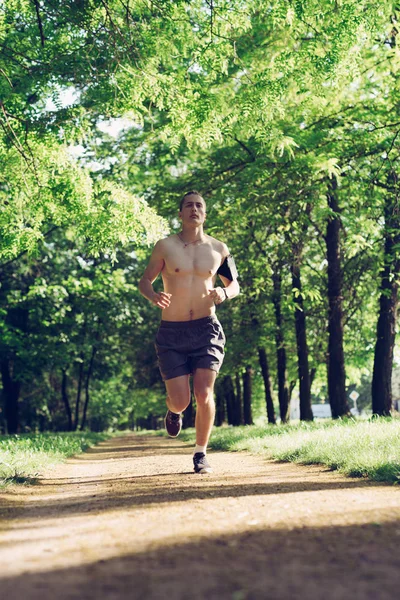 Hombre corriendo en el bosque al amanecer — Foto de Stock