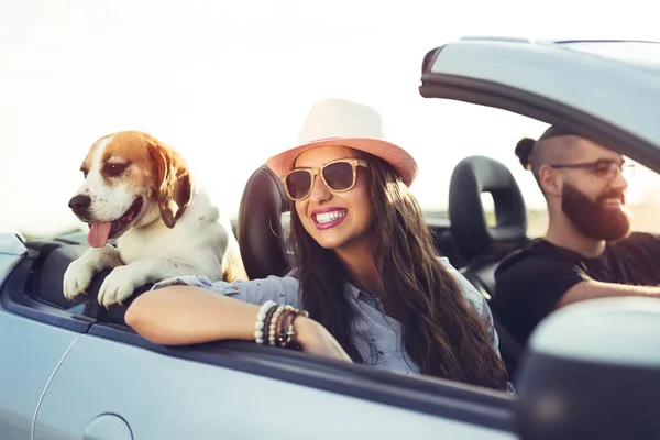 对年轻情侣和一条狗在一辆敞篷车开车 — 图库照片