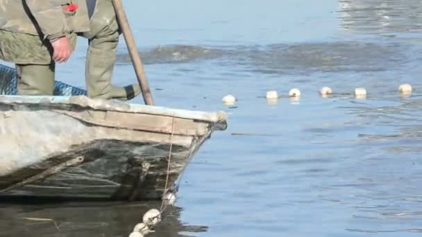 Pescatore cattura rete ittica — Video Stock