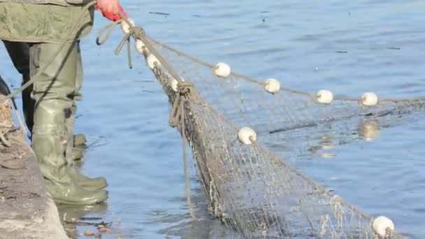 Pescatore cattura rete ittica — Video Stock