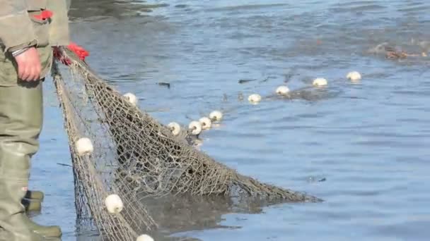 Fischer fängt Fischnetz — Stockvideo