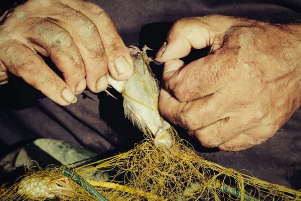 Net bir balık tutan el