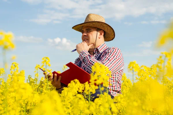 Bir çiftçi kolza tohumu inceler