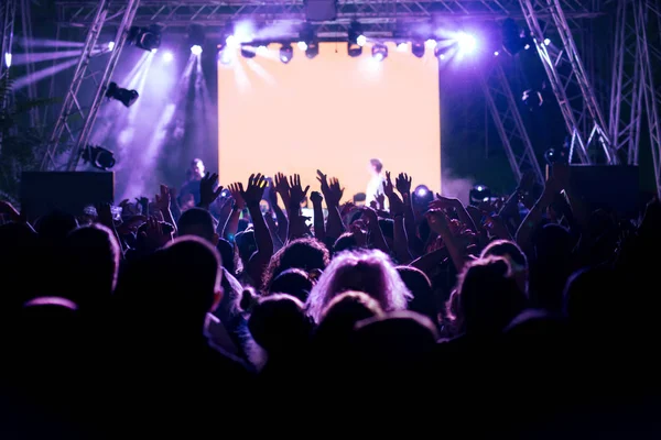 kalabalık bir konser