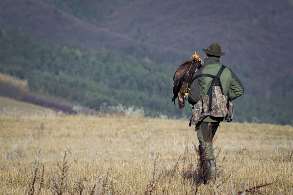 Águila Mano Del Hombre —  Fotos de Stock