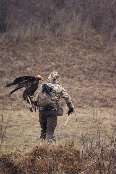 Águila Mano Del Hombre —  Fotos de Stock