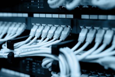 ağ anahtarlarına bağlı ağ kabloları