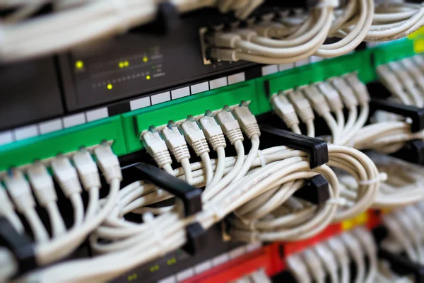 Δικτύου Διακόπτη Ethernet Καλώδια Συνδέονται — Φωτογραφία Αρχείου