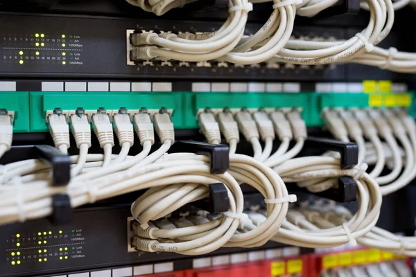 连接的网络交换机和以太网电缆 — 图库照片