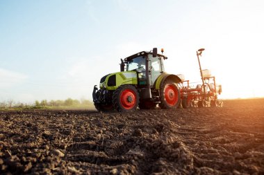 Alan bitkileri tohum çiftçi