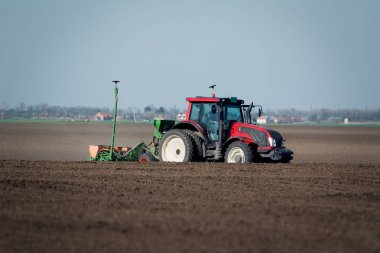 Alan bitkileri tohum çiftçi