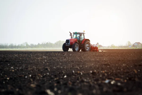 Cultivos Siembra Agricultores Campo —  Fotos de Stock