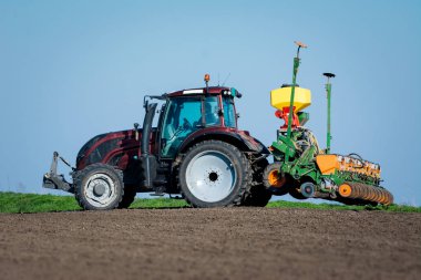 Alan bitkileri tohum çiftçi