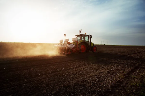 Landwirt Sät Getreide Auf Feld — Stockfoto
