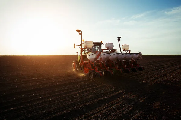 Landwirt Sät Getreide Auf Feld — Stockfoto