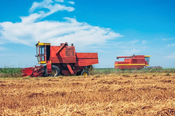 Combineer Oogsten Een Veld Van Gouden Tarwe — Stockfoto