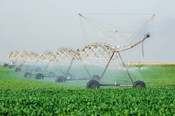 Sistema Riego Agrícola Campo Riego Día Verano — Foto de Stock